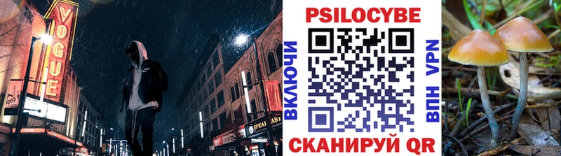 mega ссылки  Шенкурск  shop как зайти  где продают наркотики  Псилоцибиновые грибы Cubensis 