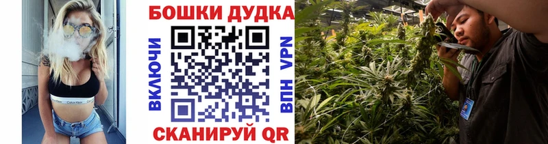 купить закладку ОМГ ОМГ онион Бошки марихуана план Шенкурск